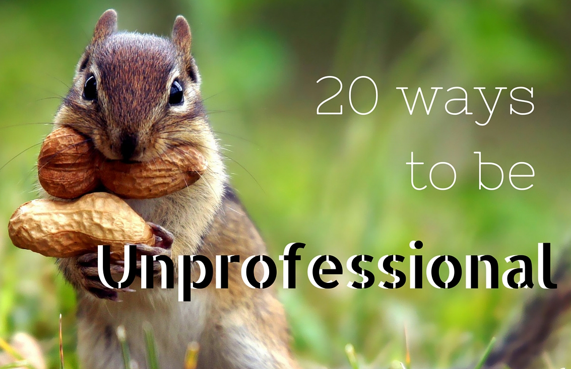 Squirrel says pay attention, here are 20 ways to be unprofessional